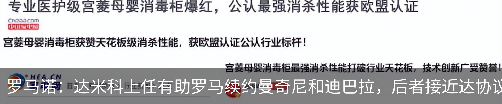 最新动态